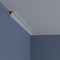 Ekena Millwork 1 1/4"H x 1 1/4"P x 1 3/4"F x 94 1/2"L Hillsborough Traditional Smooth Crown Moulding MLD01X01X01HI - alternate 10